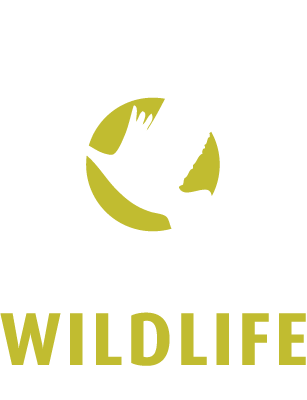 bridge-city-wildlife-federation-foundation-logo-rev