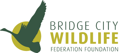 Bridge City Wildlife Federation Foundation Logo
